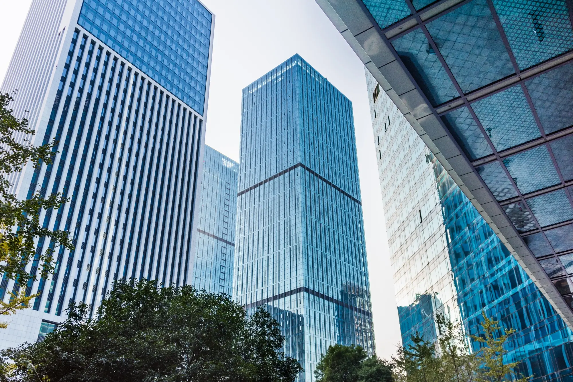 A low-angle view of modern skyscrapers with glass facades, reflecting the sky and surrounded by green trees.